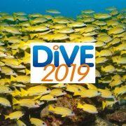 Dive Show 2019