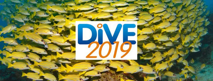 Dive Show 2019