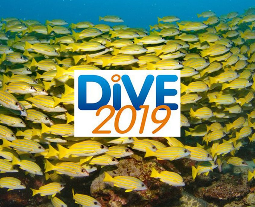 Dive Show 2019