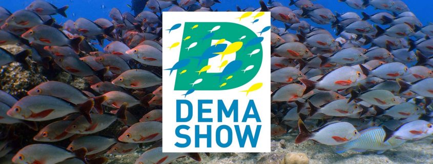 DEMA Show 2019