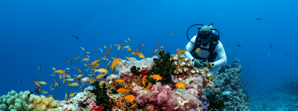 Scuba Diving - Baa Atoll UNESCO Bioreserve - Amilla Fushi Maldives